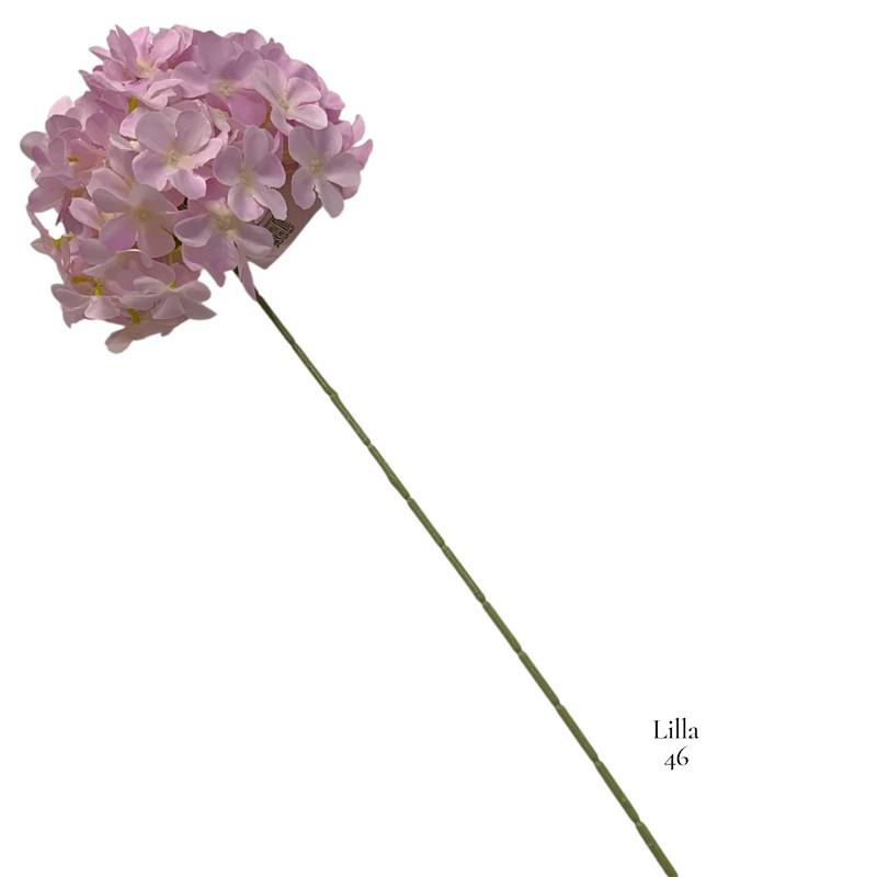 ORTENSIA 60H CM LILLA